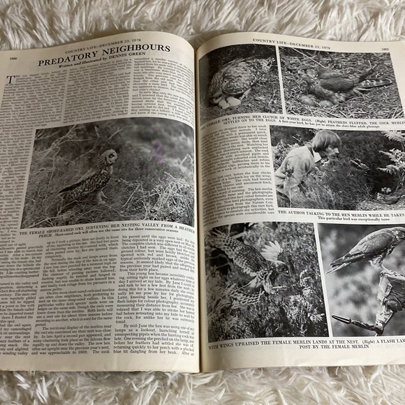 COUNTRY LIFE MAGAZINE CATS AT HOME IN CHURCH December 23, 1976 - Picture 8 of 13